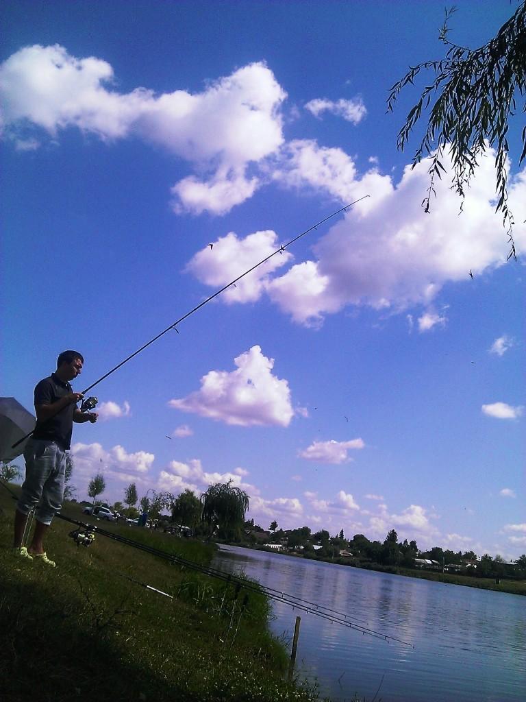 peanut - wp201308310011.jpg